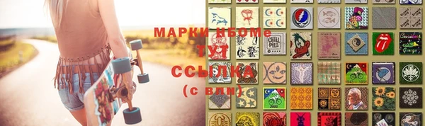 амф Гусь-Хрустальный