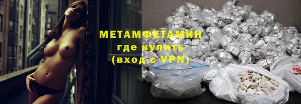 амф Гусь-Хрустальный