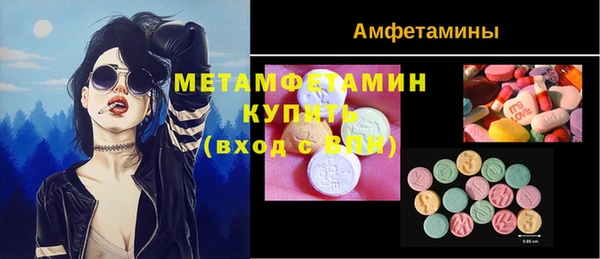 амф Гусь-Хрустальный