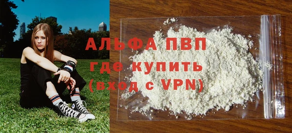 амф Гусь-Хрустальный
