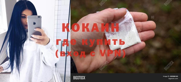 амф Гусь-Хрустальный