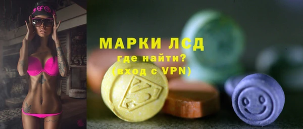 амф Гусь-Хрустальный