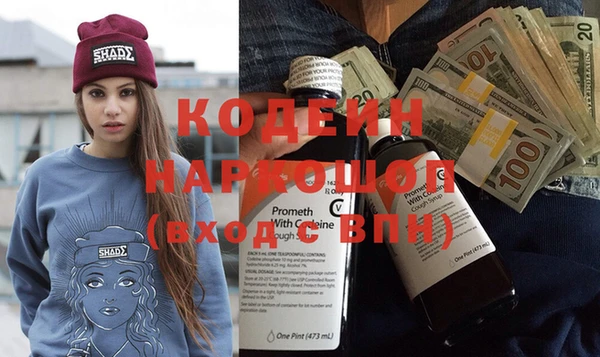 амф Гусь-Хрустальный