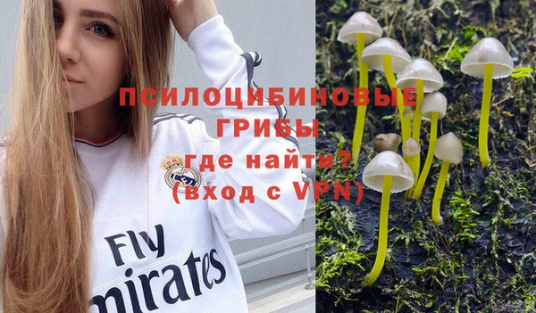 MDMA Premium VHQ Гусев