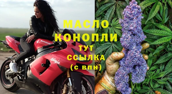 амф Гусь-Хрустальный