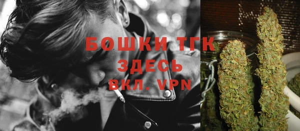 apvp Гусиноозёрск