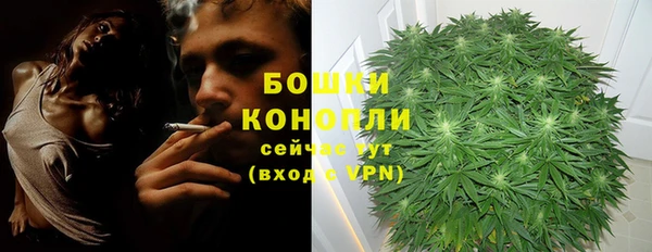 амф Гусь-Хрустальный
