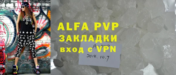 apvp Гусиноозёрск