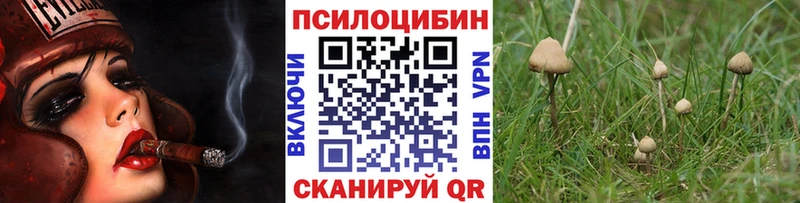 Купить  Стародуб  Галлюциногенные грибы Magic Shrooms 